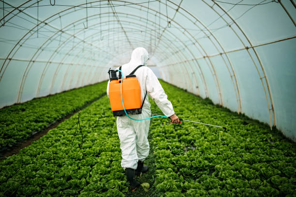 Best Affordable Pest Control Services  in Fish Hawk, FL
