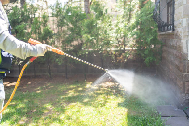 Best Flea Control Services  in Fish Hawk, FL