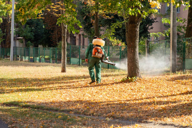 Best Residential Pest Control  in Fish Hawk, FL